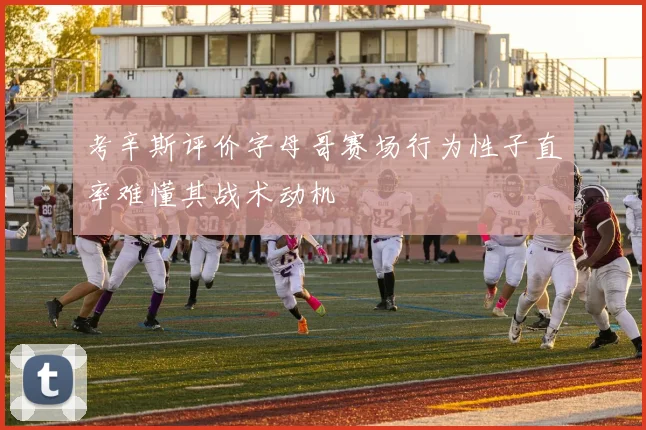 考辛斯评价字母哥赛场行为性子直率难懂其战术动机